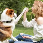 Stimmungsübertragung auf den Hund: Wie Deine Emotionen das Verhalten beeinflusst