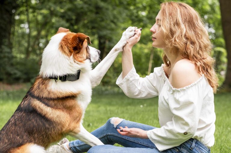 Stimmungsübertragung auf den Hund: Wie Deine Emotionen das Verhalten beeinflusst