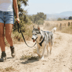 Sonee Dosoruth: Warum Dein Hund sich beim Partner besser benimmt – und was das wirklich bedeutet